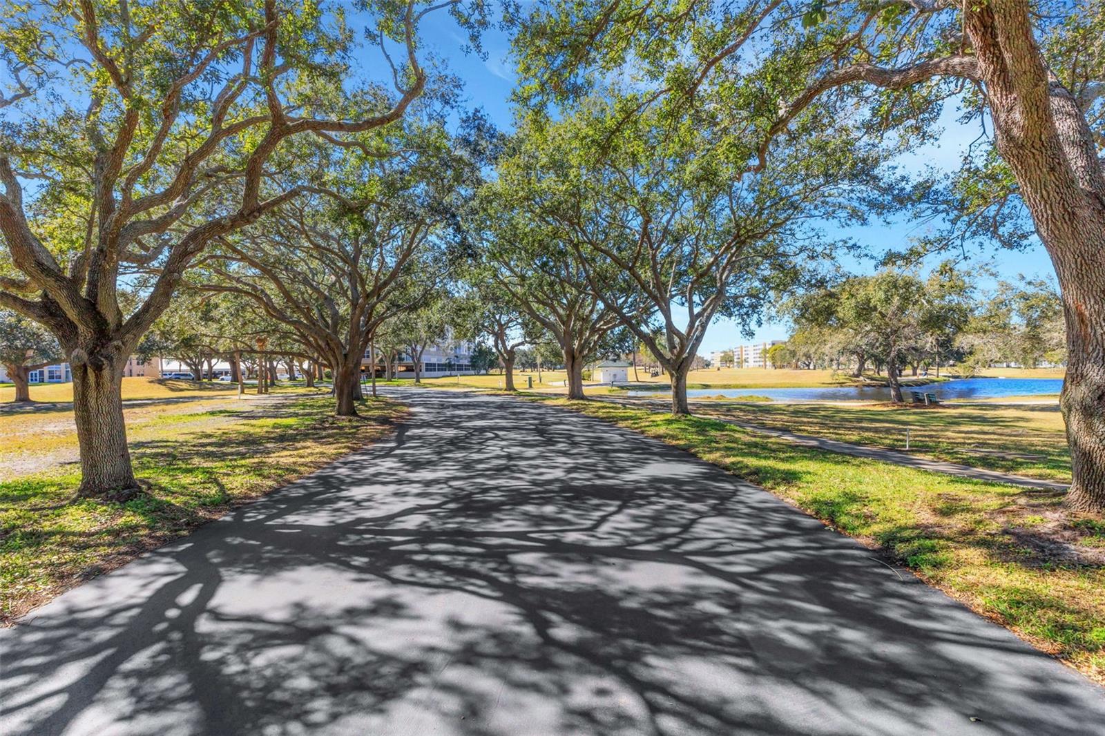 4480 FAIRWAYS BLVD #208