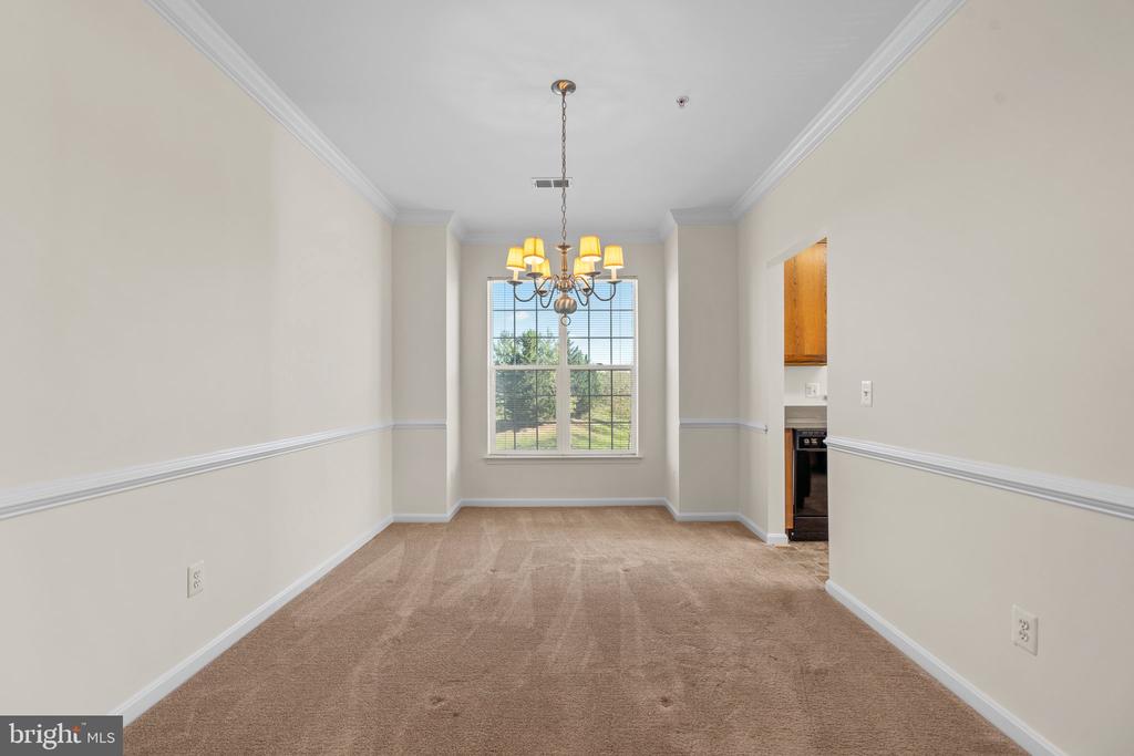 8601 Roaming Ridge Way #303