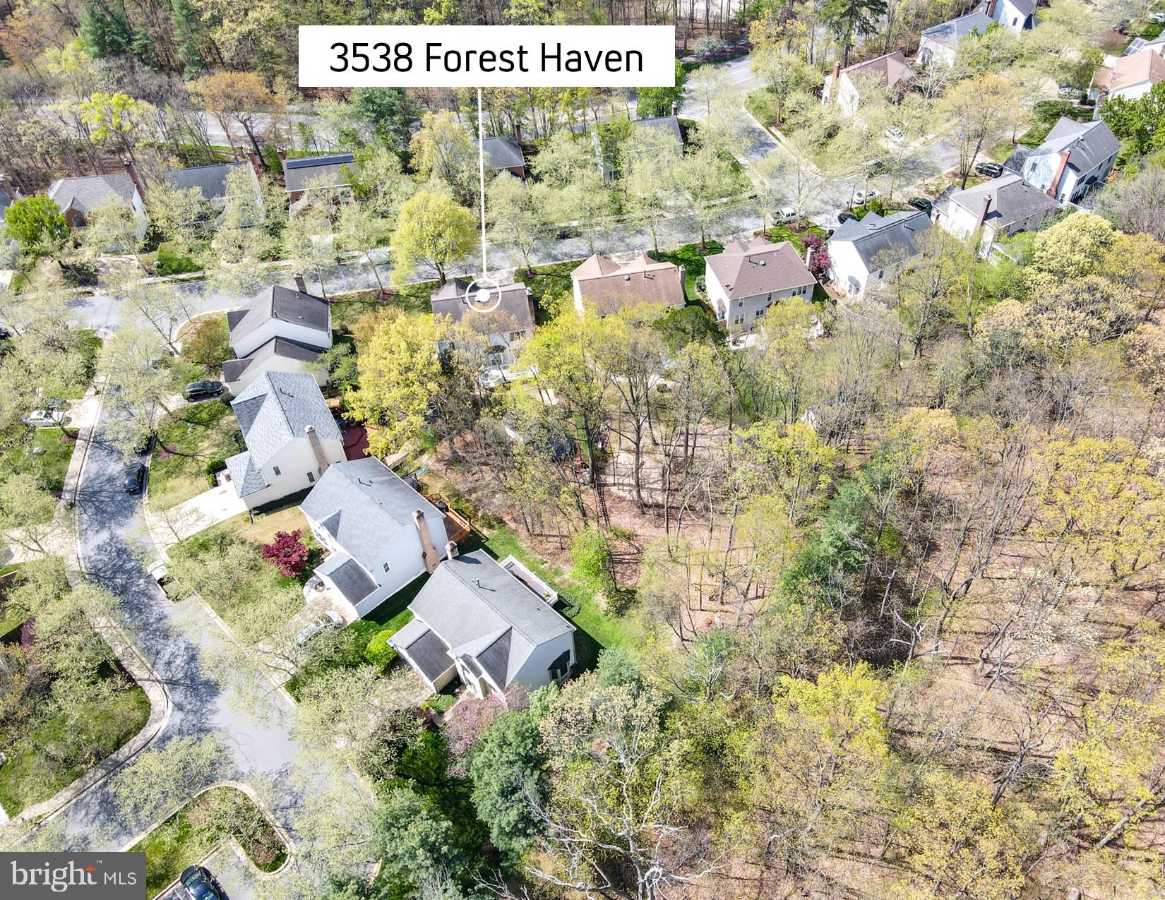 3538 FOREST HAVEN DRIVE