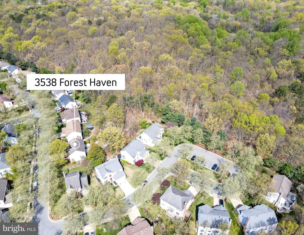 3538 FOREST HAVEN DRIVE