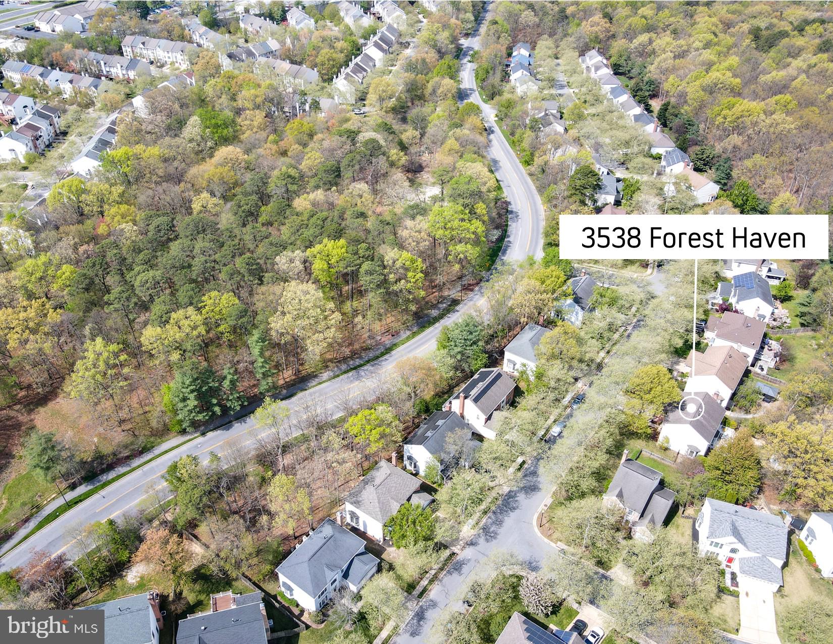 3538 FOREST HAVEN DRIVE