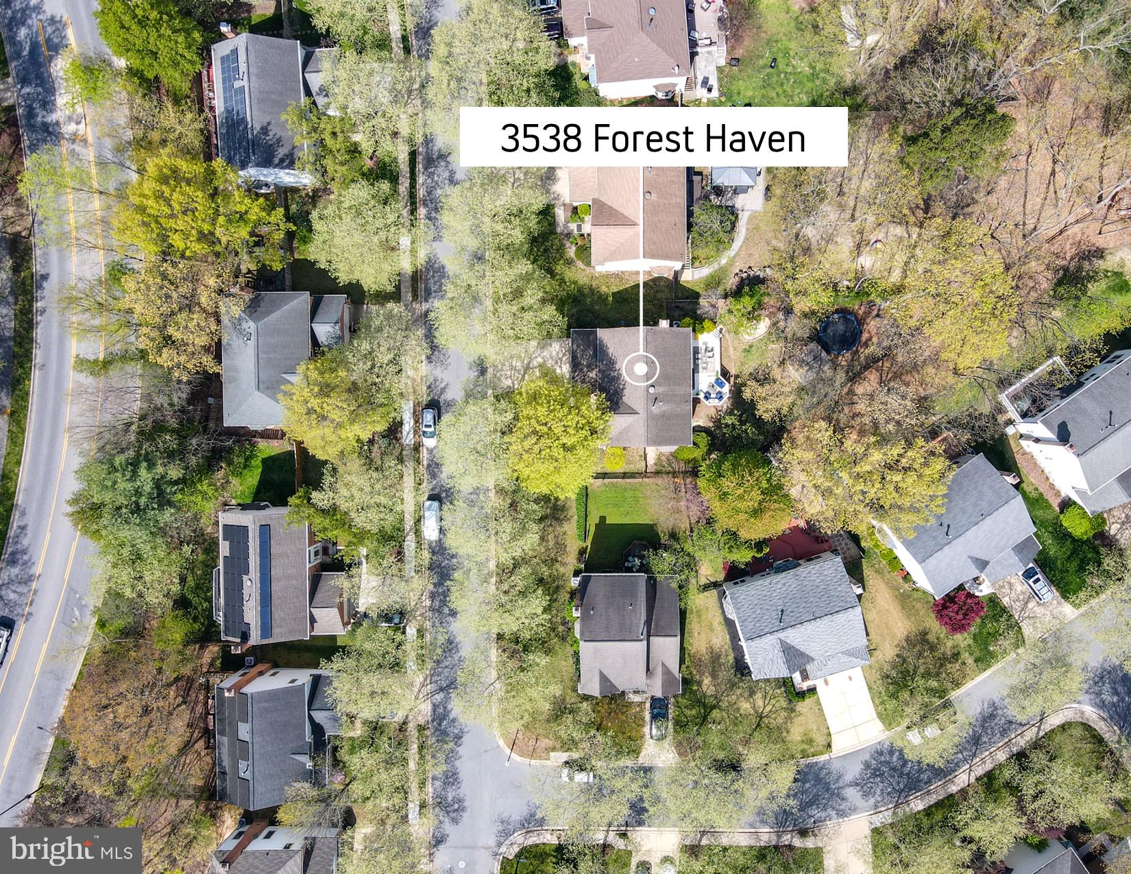 3538 FOREST HAVEN DRIVE
