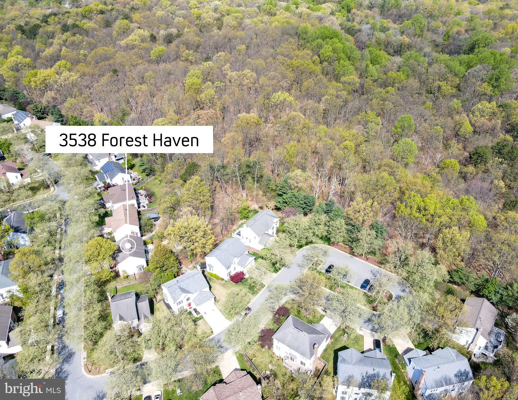 3538 FOREST HAVEN DRIVE