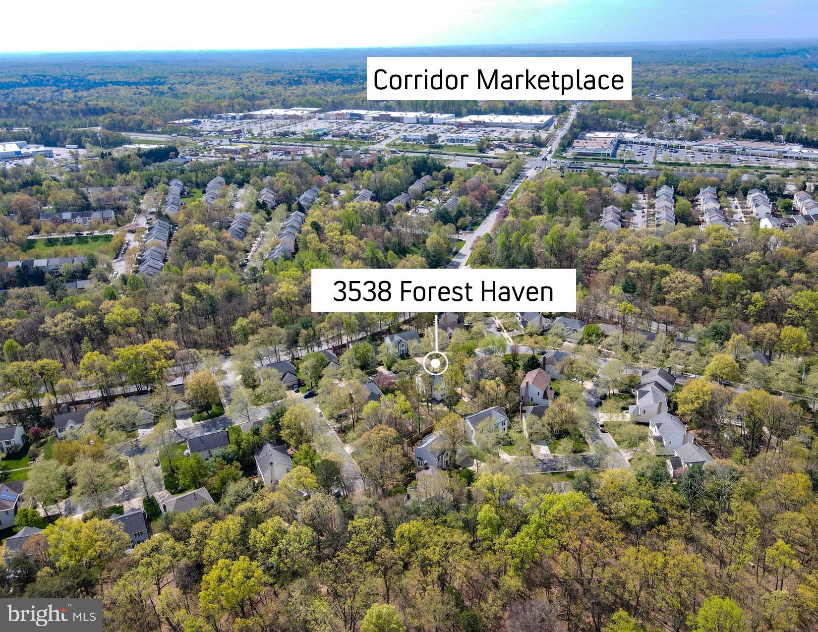 3538 FOREST HAVEN DRIVE