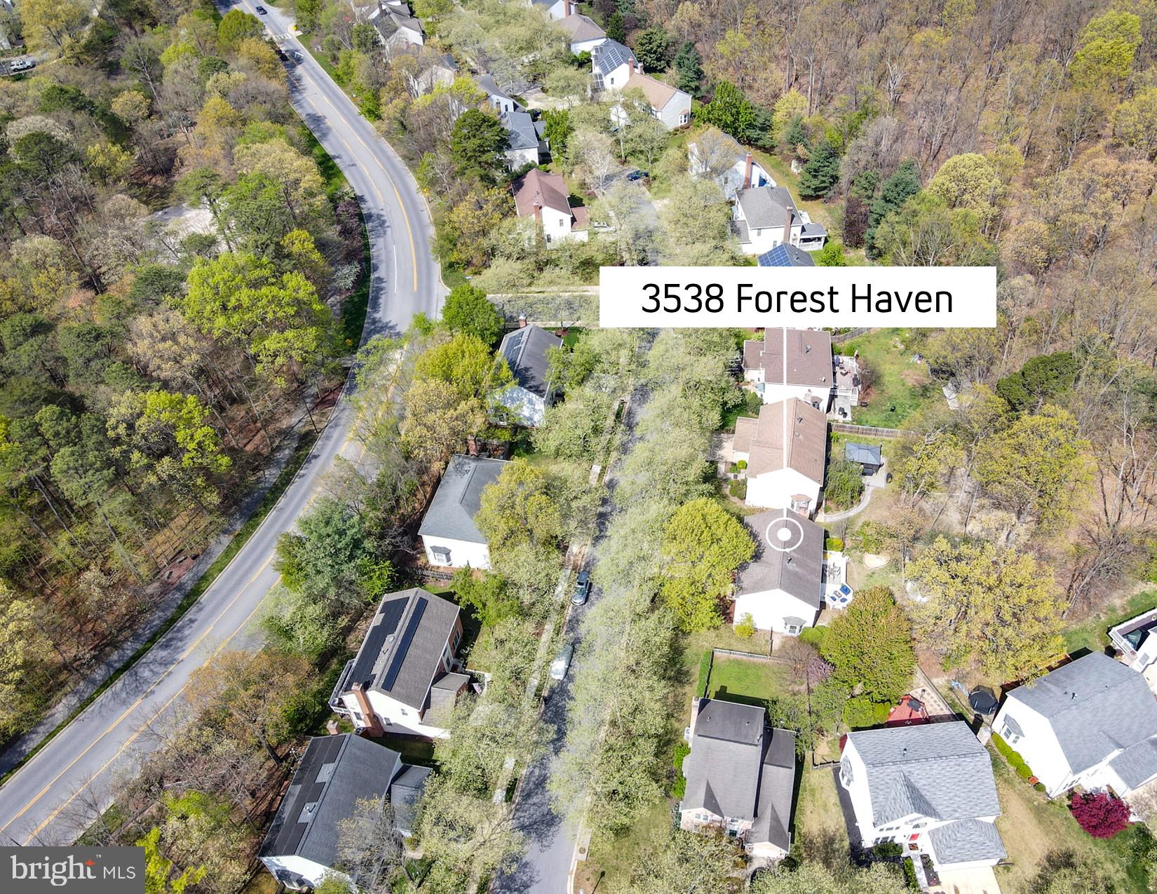 3538 FOREST HAVEN DRIVE