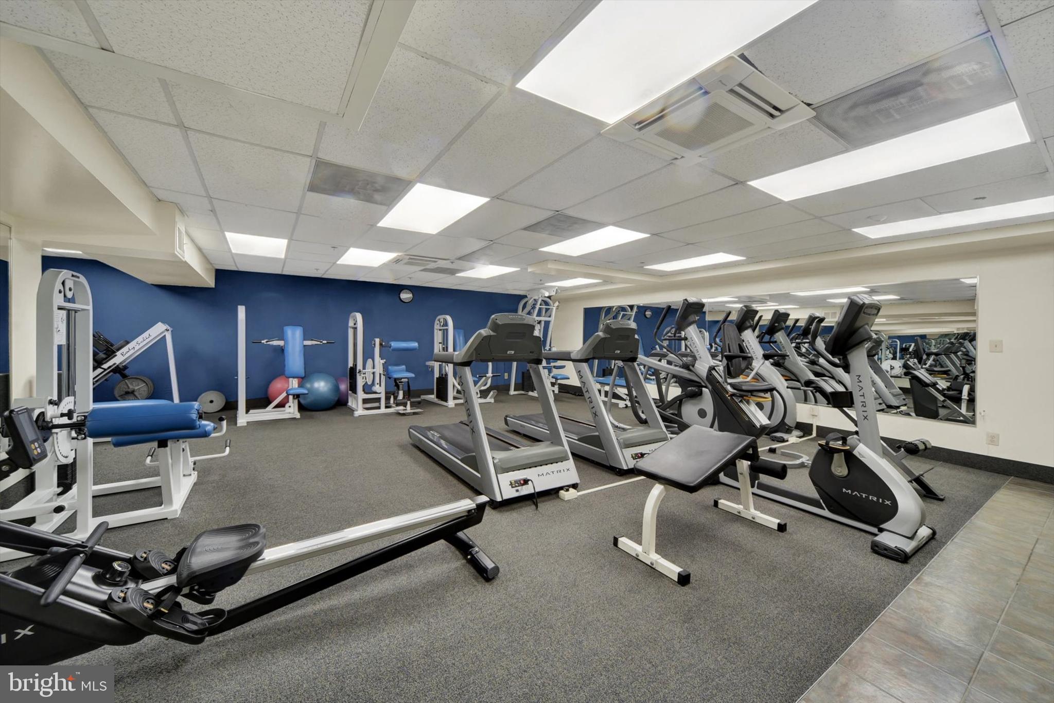 1000 FELL STREET 234