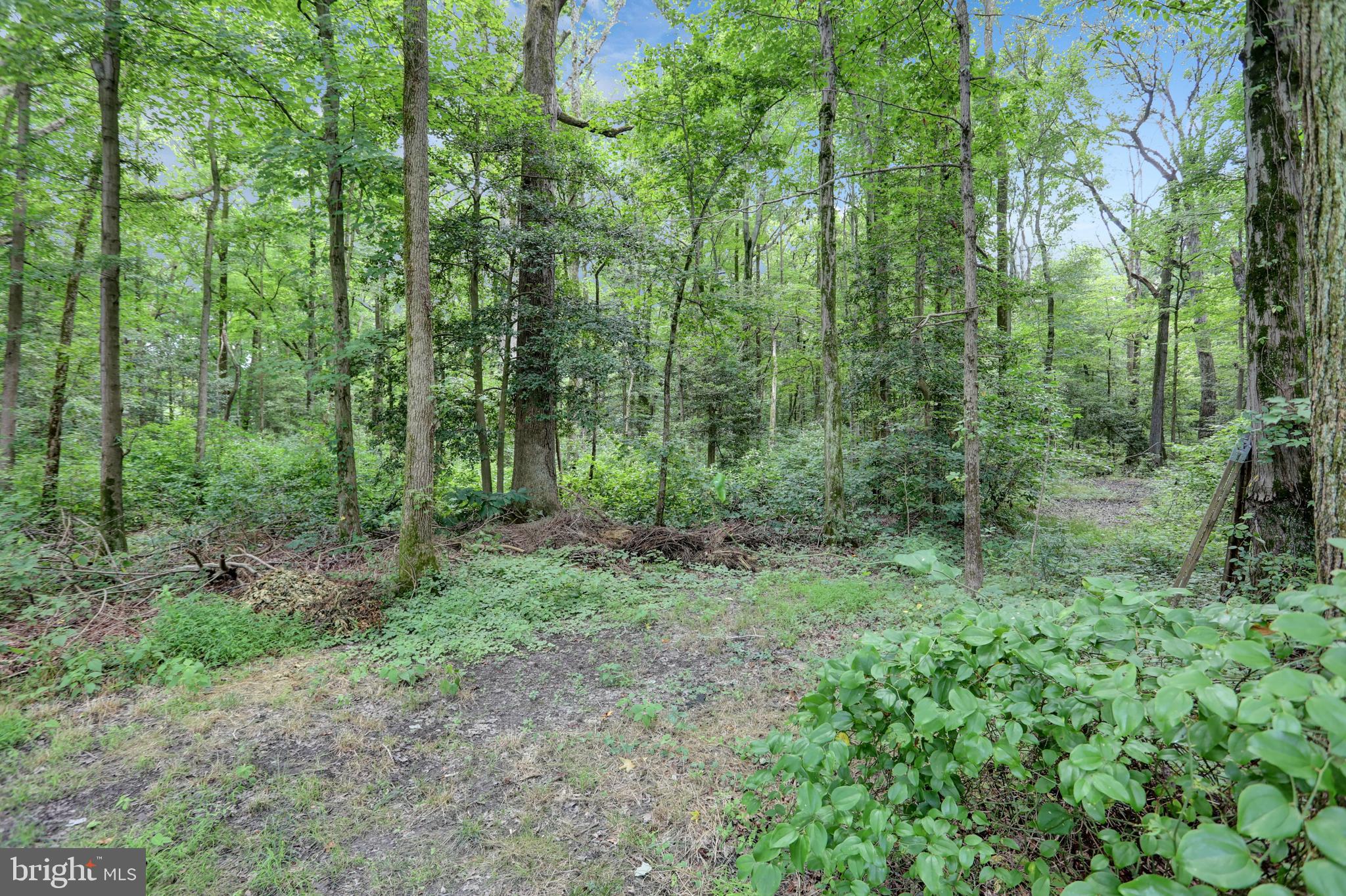 2205 HOLLY NECK ROAD