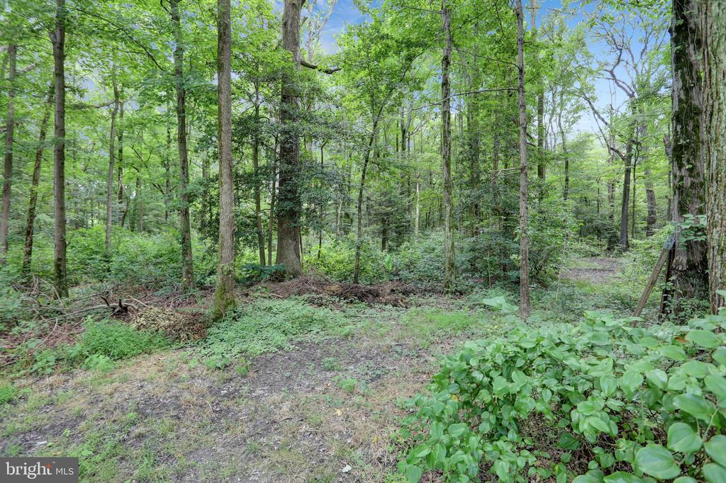 2205 HOLLY NECK ROAD