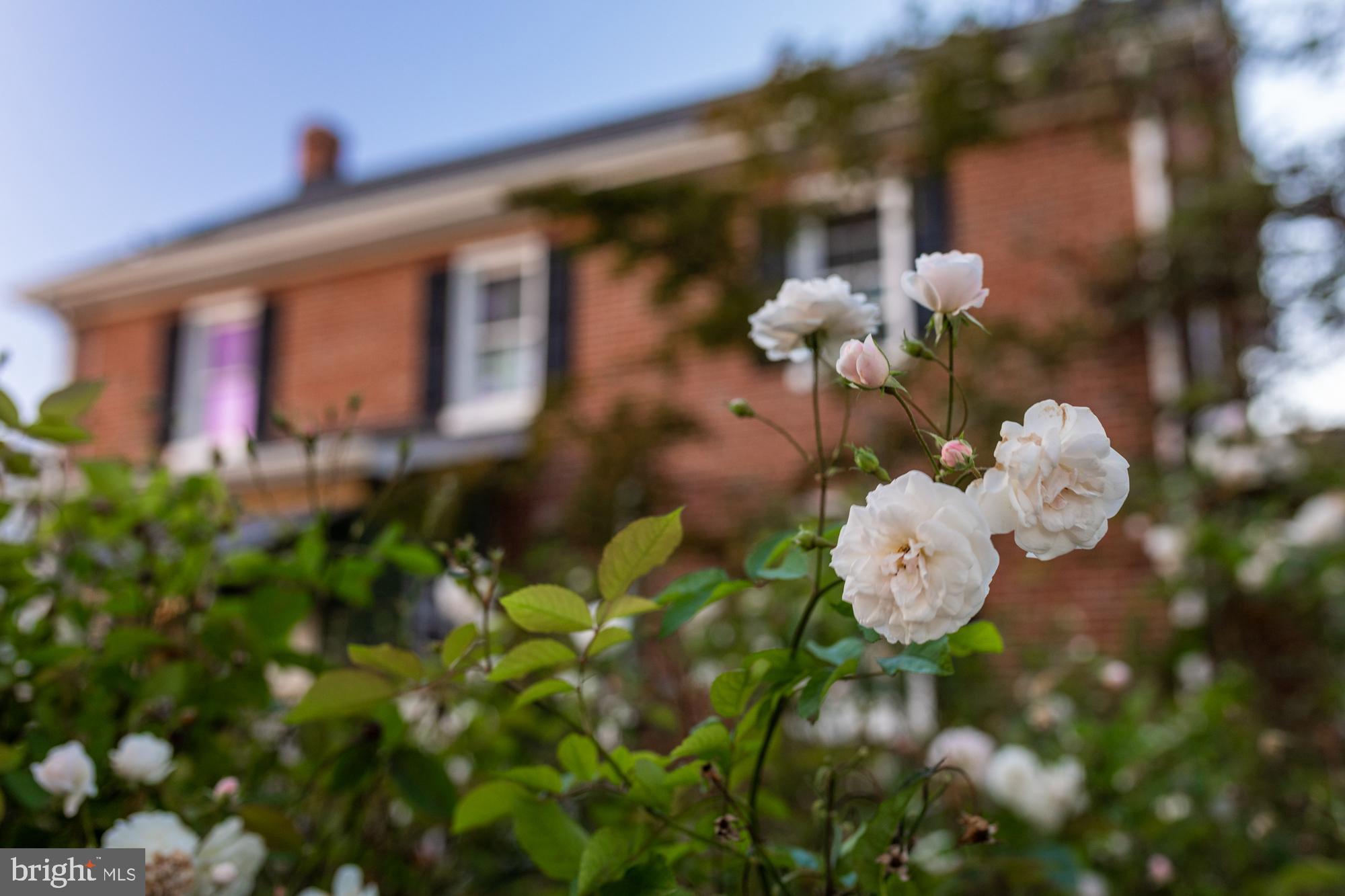 306 E BALTIMORE STREET