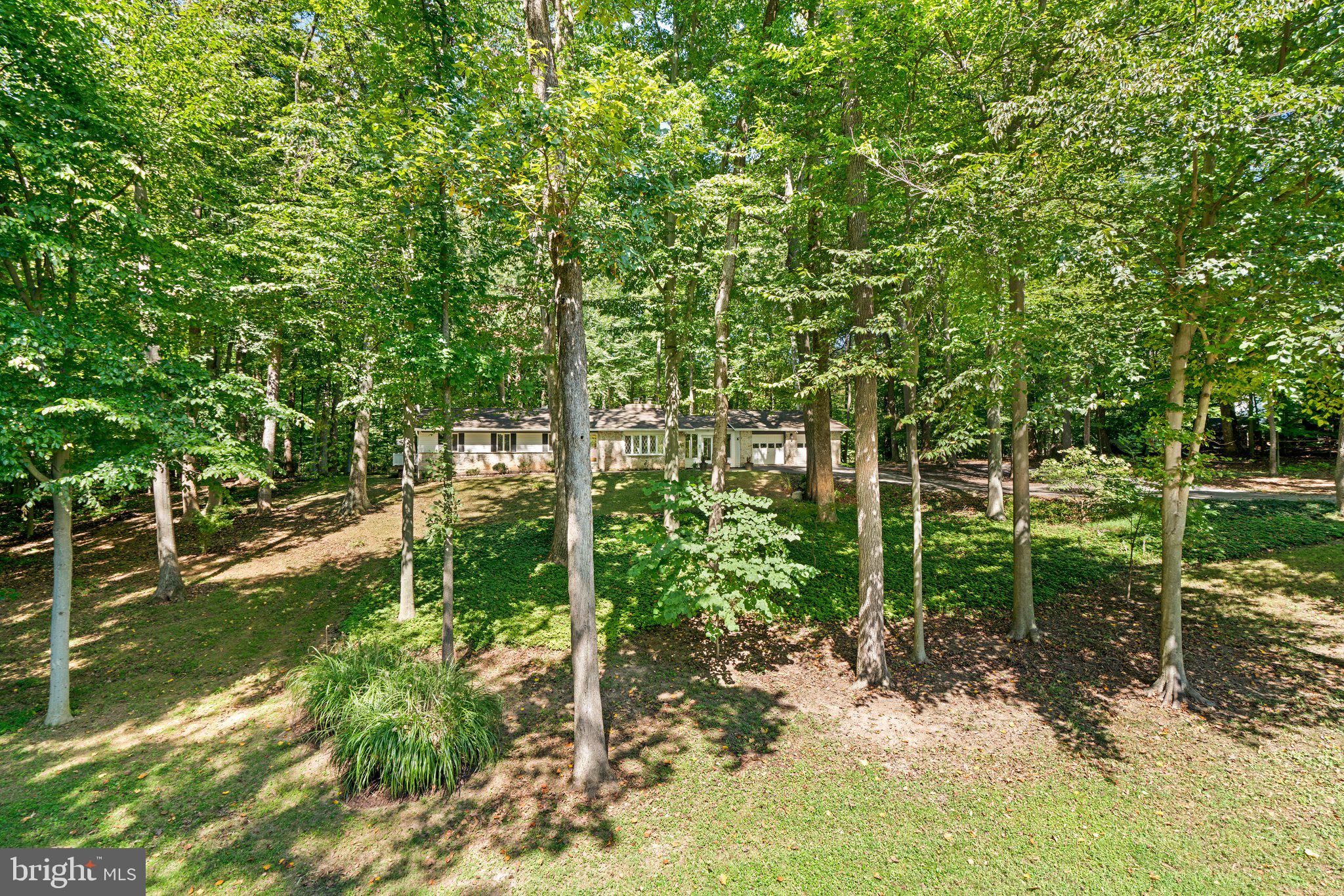 12412 Hall Shop Rd