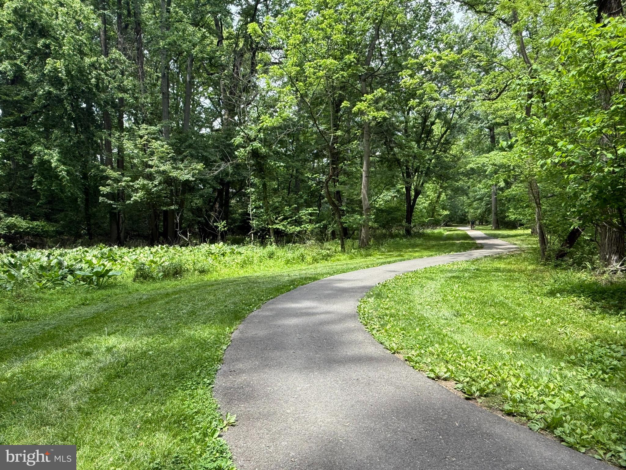 5338 LIGHTNING VIEW ROAD