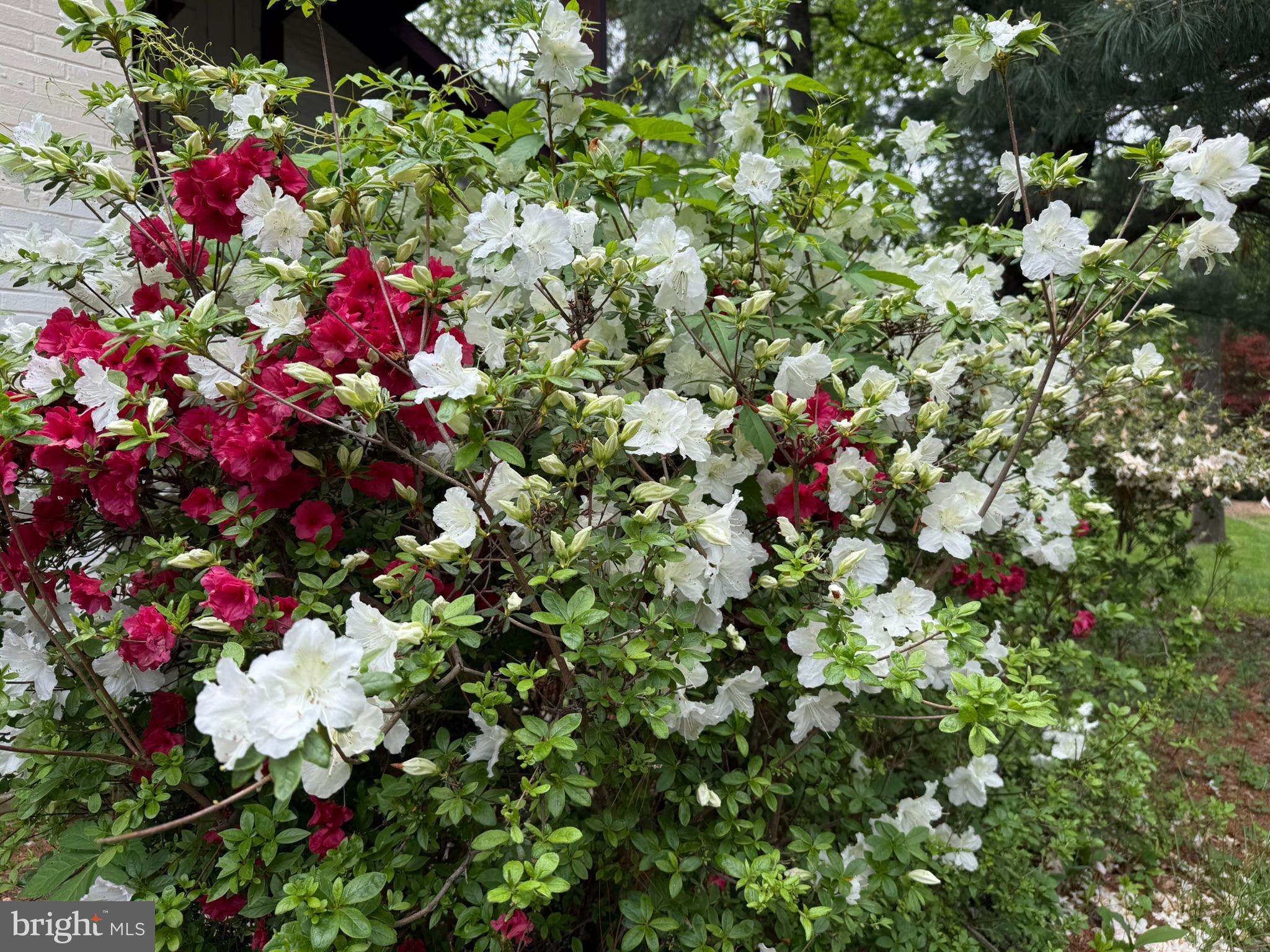 5338 LIGHTNING VIEW ROAD