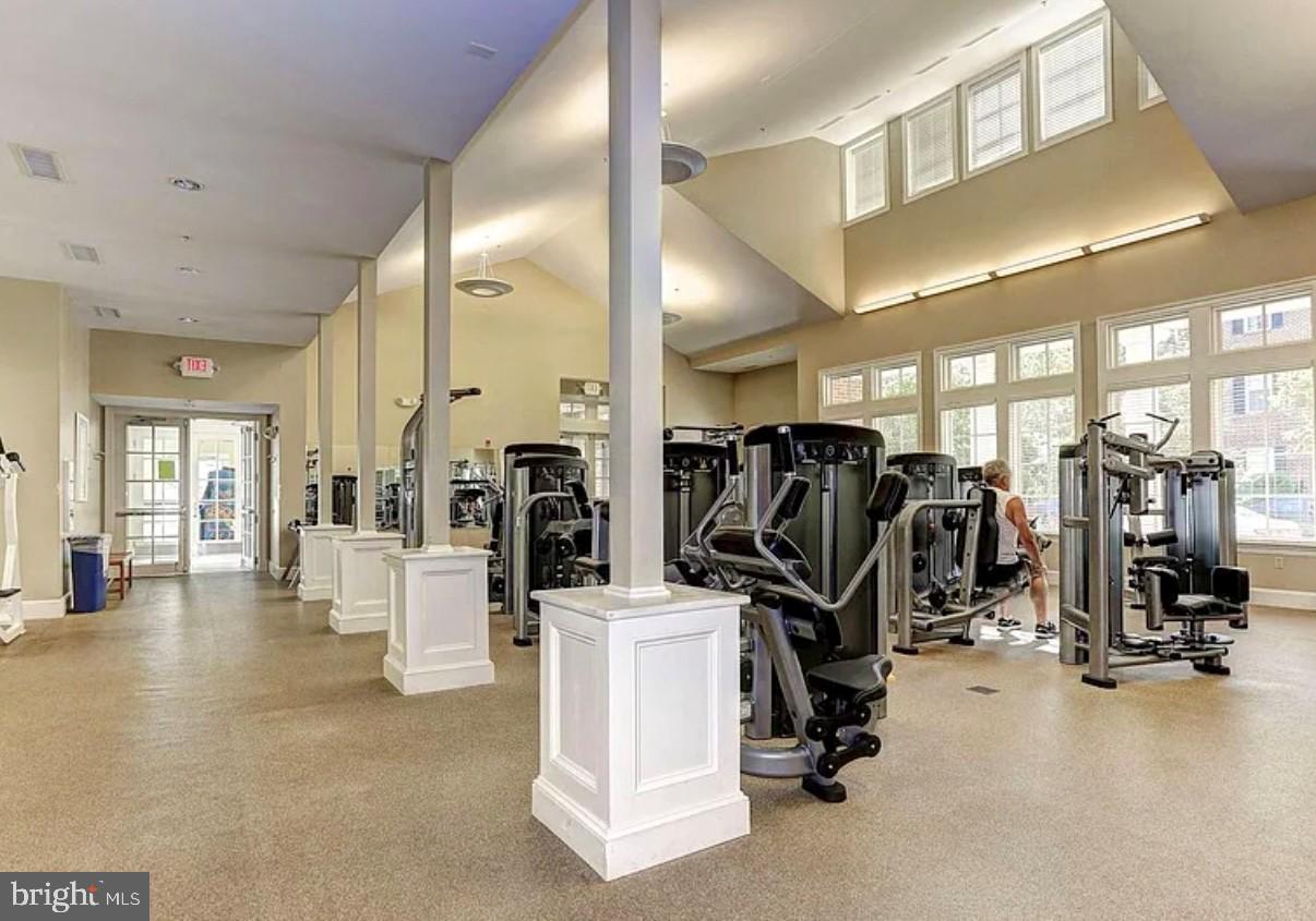 11420 ELLINGTON STREET