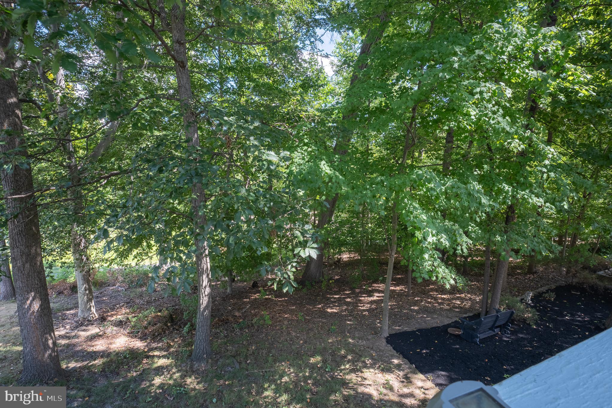 5953 SANDY RIDGE