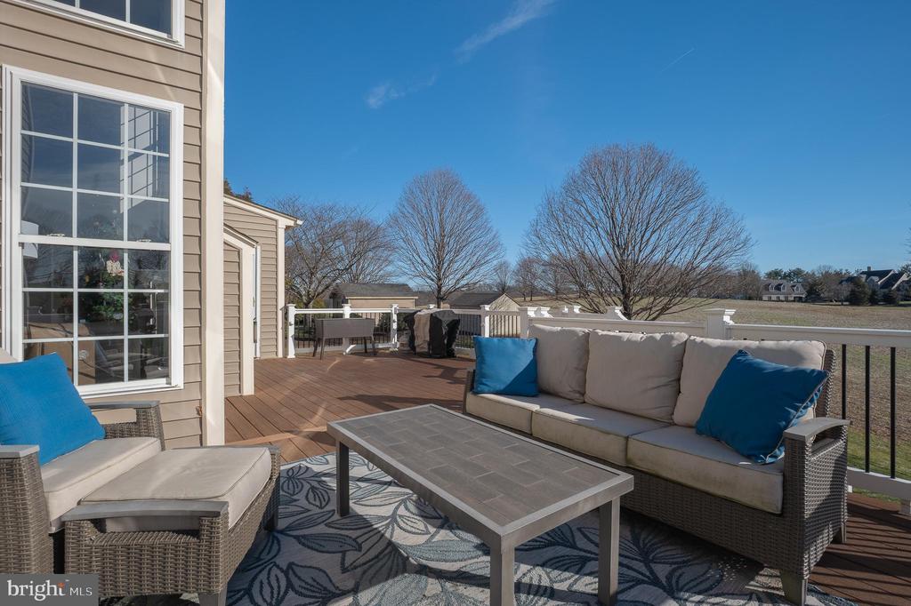 1736 CATTAIL MEADOWS DRIVE