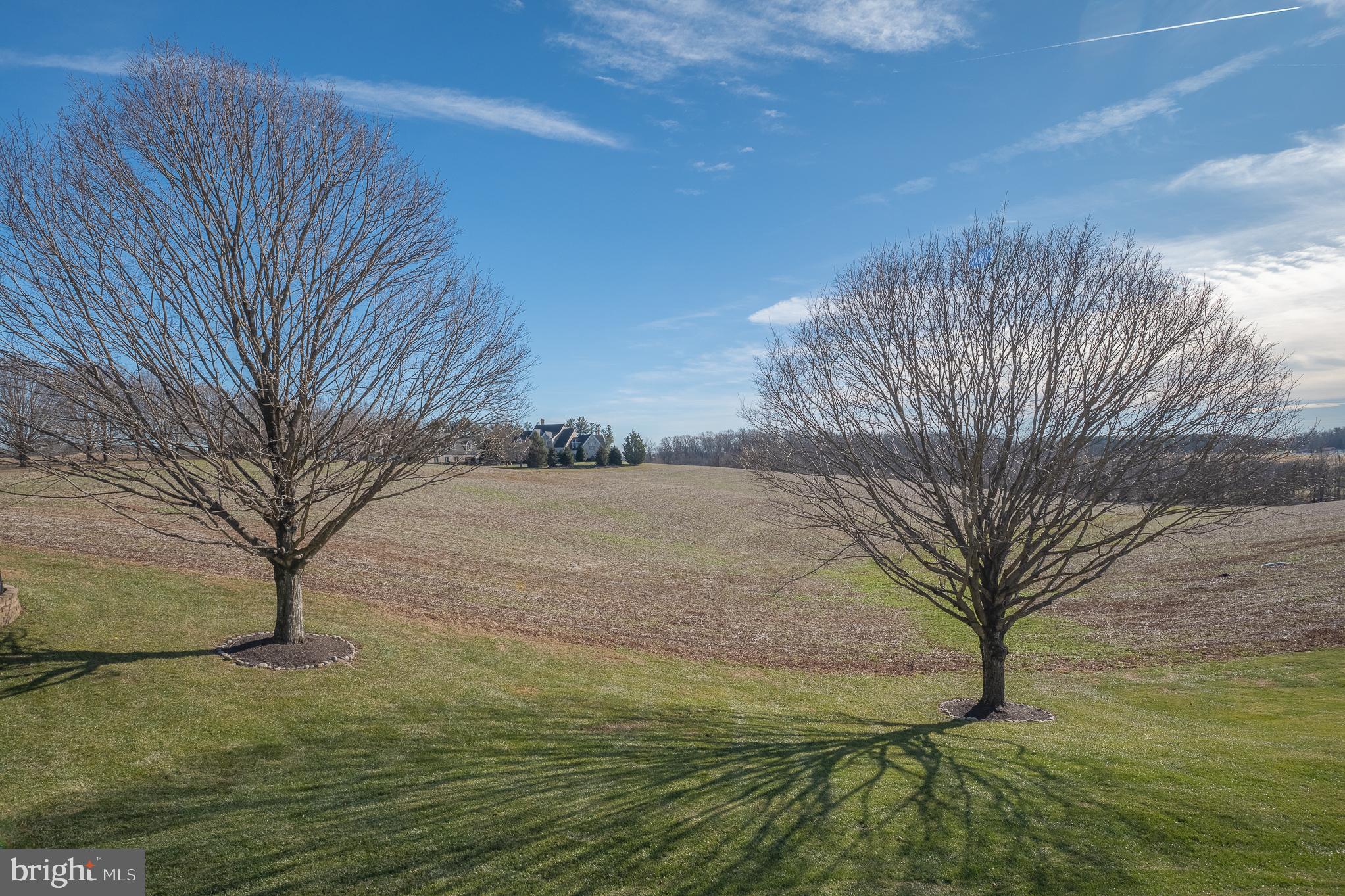 1736 CATTAIL MEADOWS DRIVE