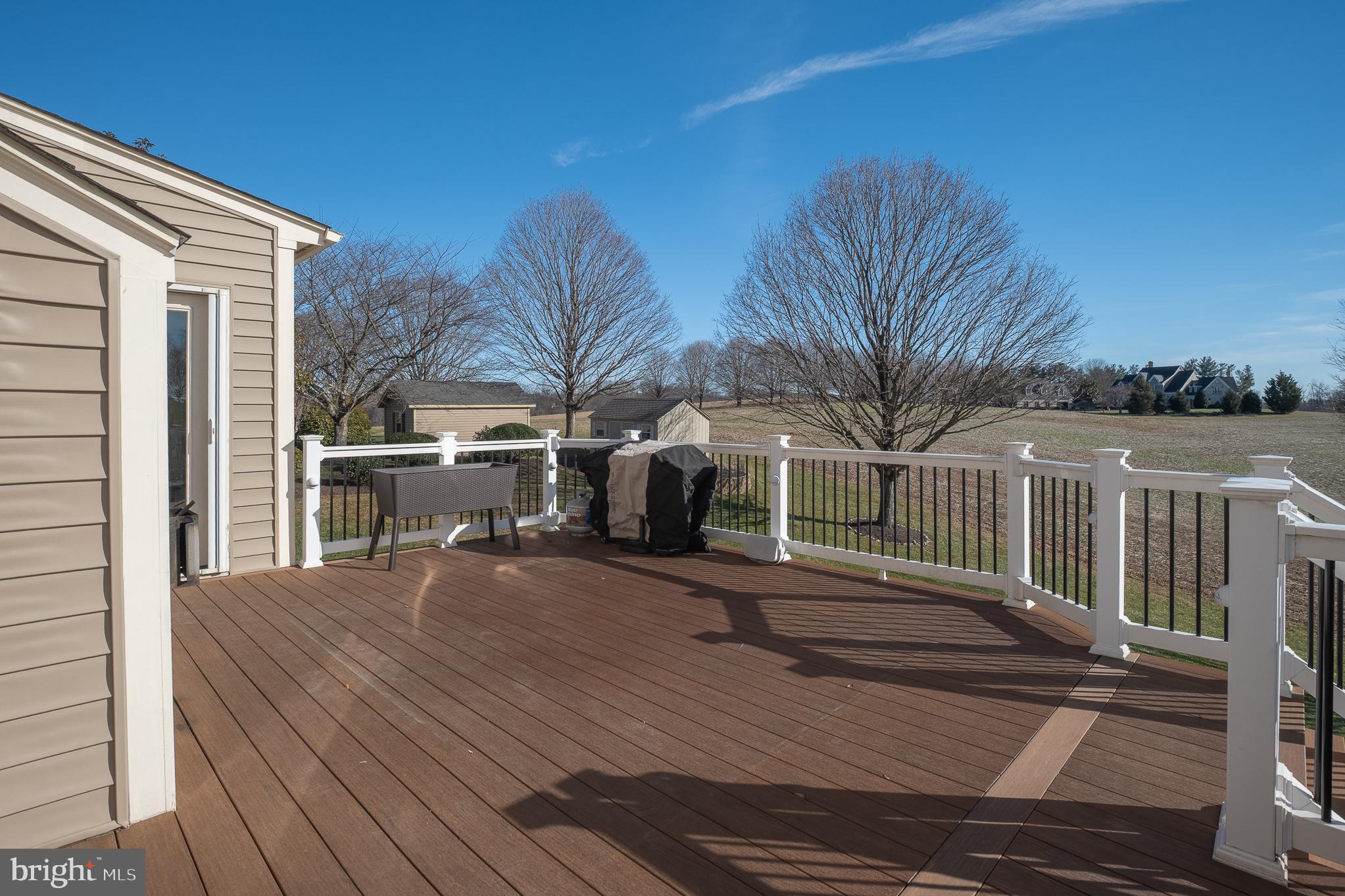 1736 CATTAIL MEADOWS DRIVE