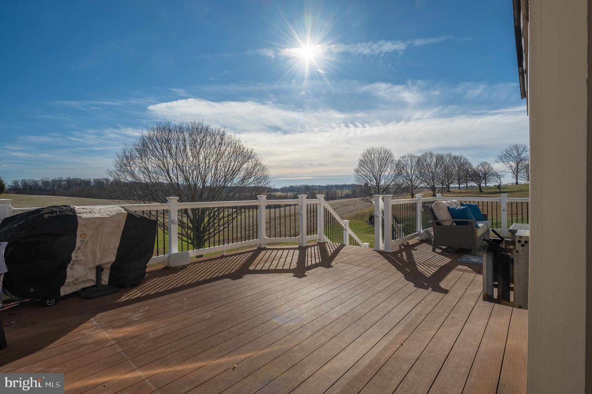 1736 CATTAIL MEADOWS DRIVE