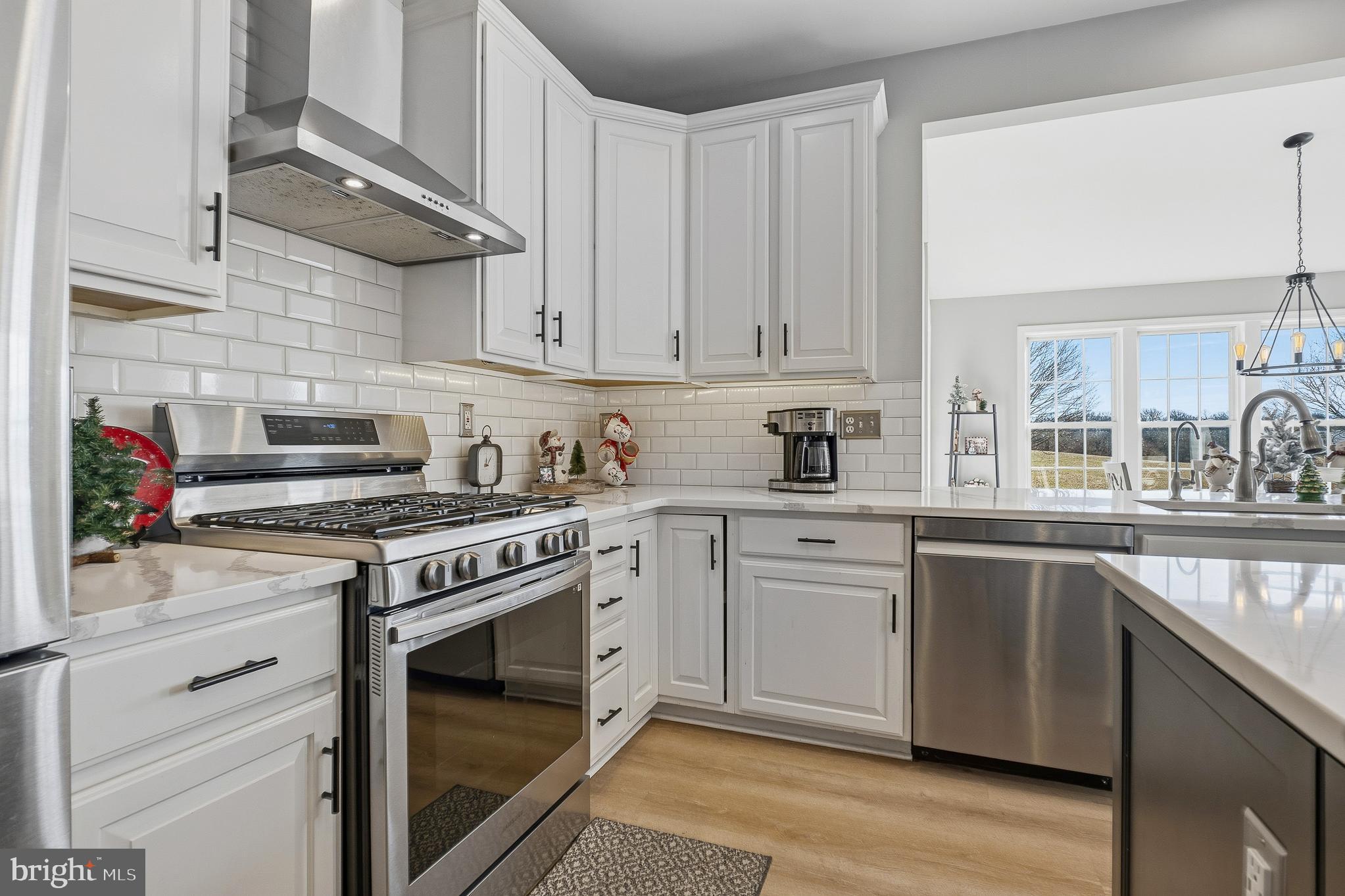 1736 CATTAIL MEADOWS DRIVE