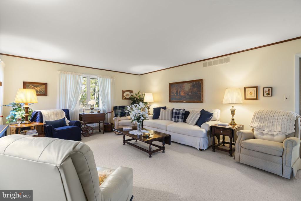 10115 GREEN CLOVER DRIVE