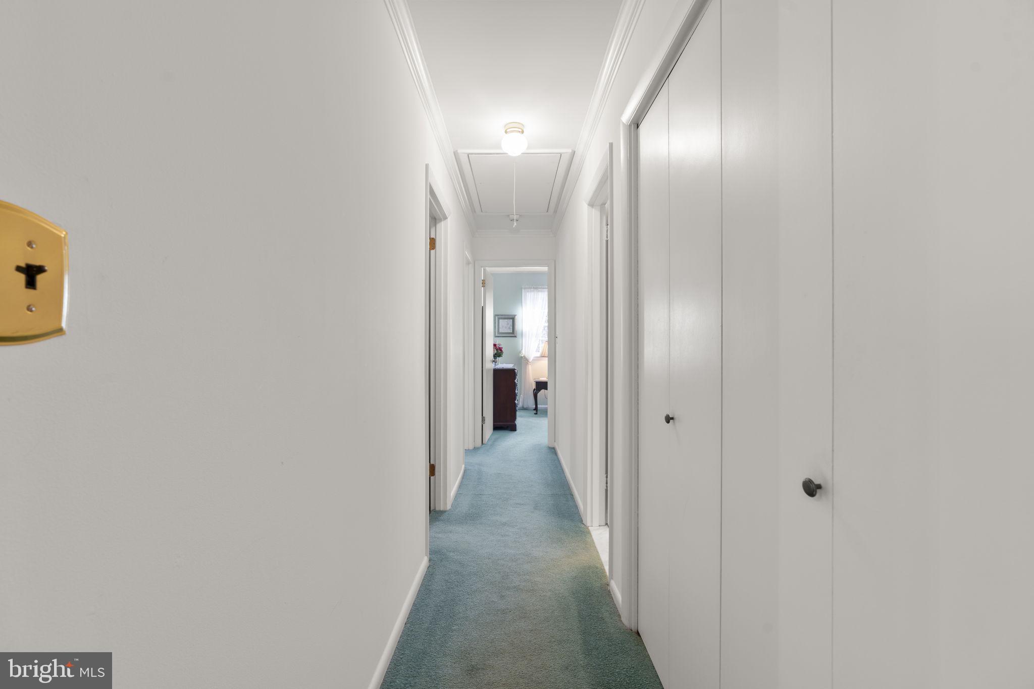 10115 GREEN CLOVER DRIVE