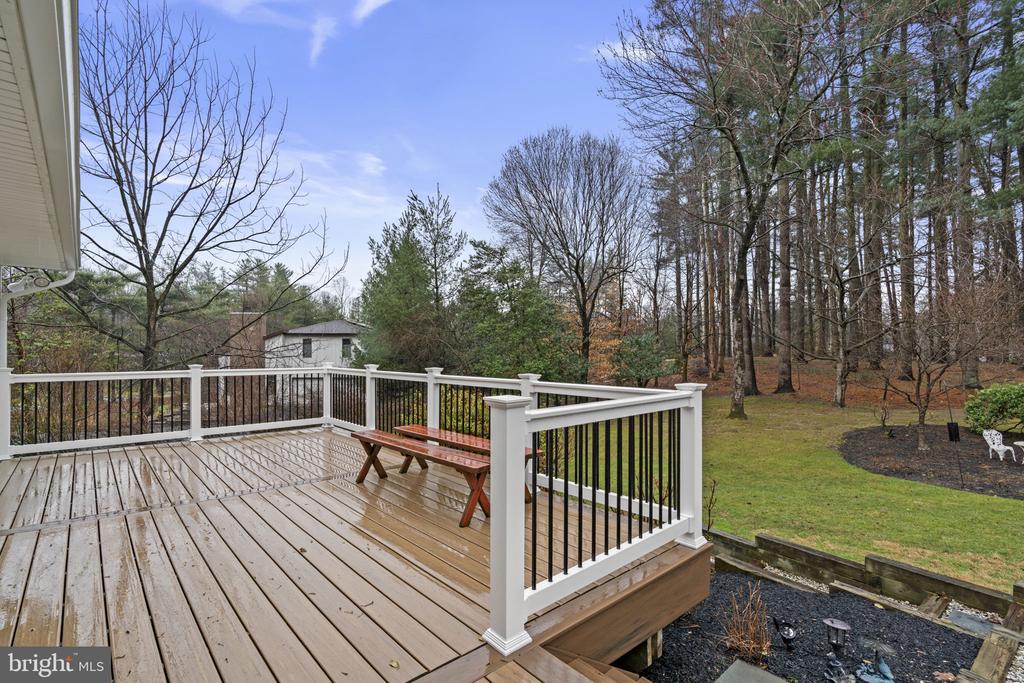 10115 GREEN CLOVER DRIVE