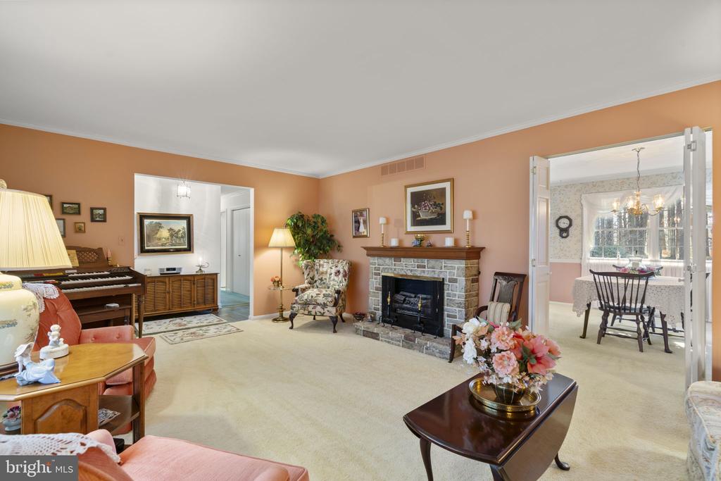 10115 GREEN CLOVER DRIVE