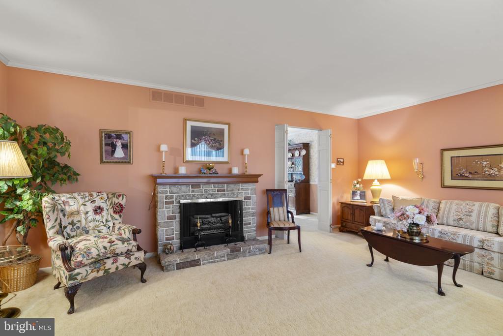 10115 GREEN CLOVER DRIVE