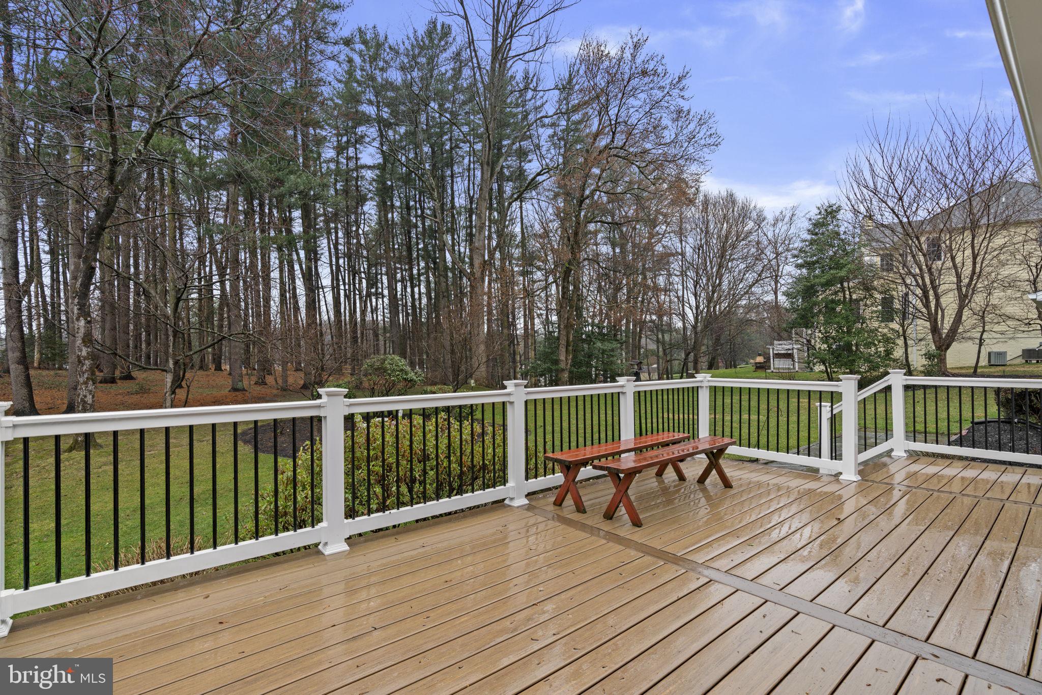 10115 GREEN CLOVER DRIVE