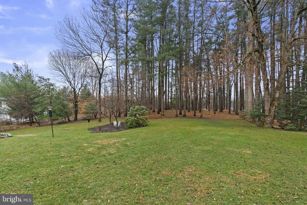 10115 GREEN CLOVER DRIVE