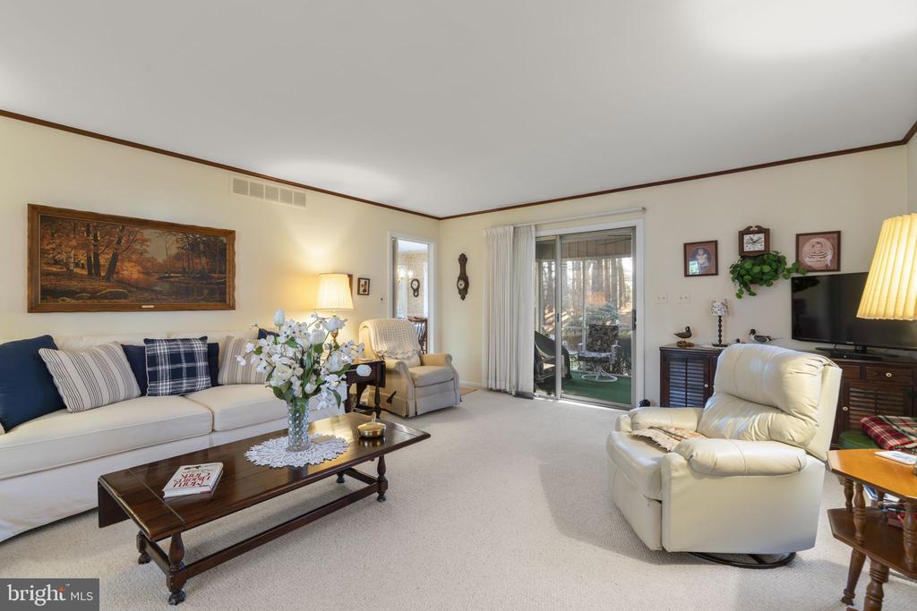 10115 GREEN CLOVER DRIVE