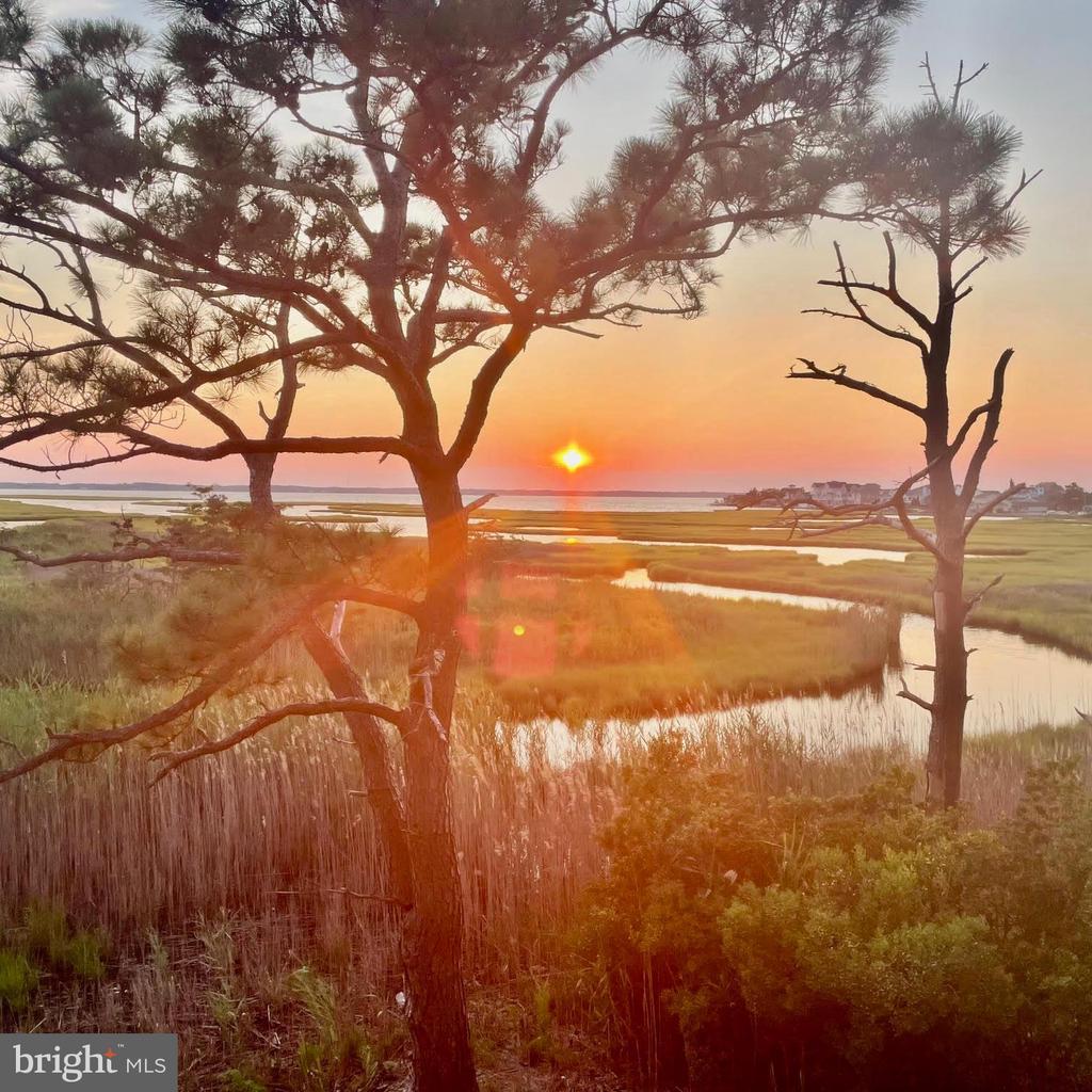 119 OLD LANDING ROAD E203