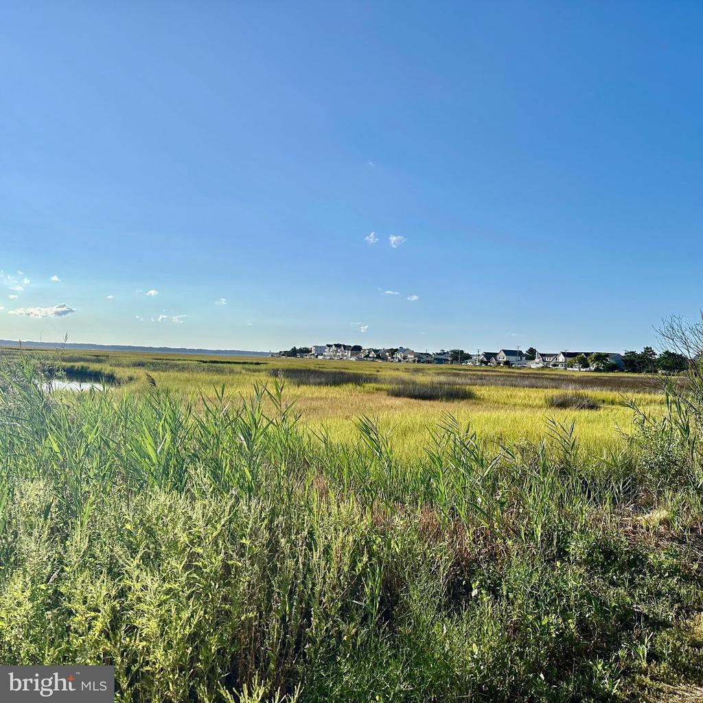 119 OLD LANDING ROAD E203