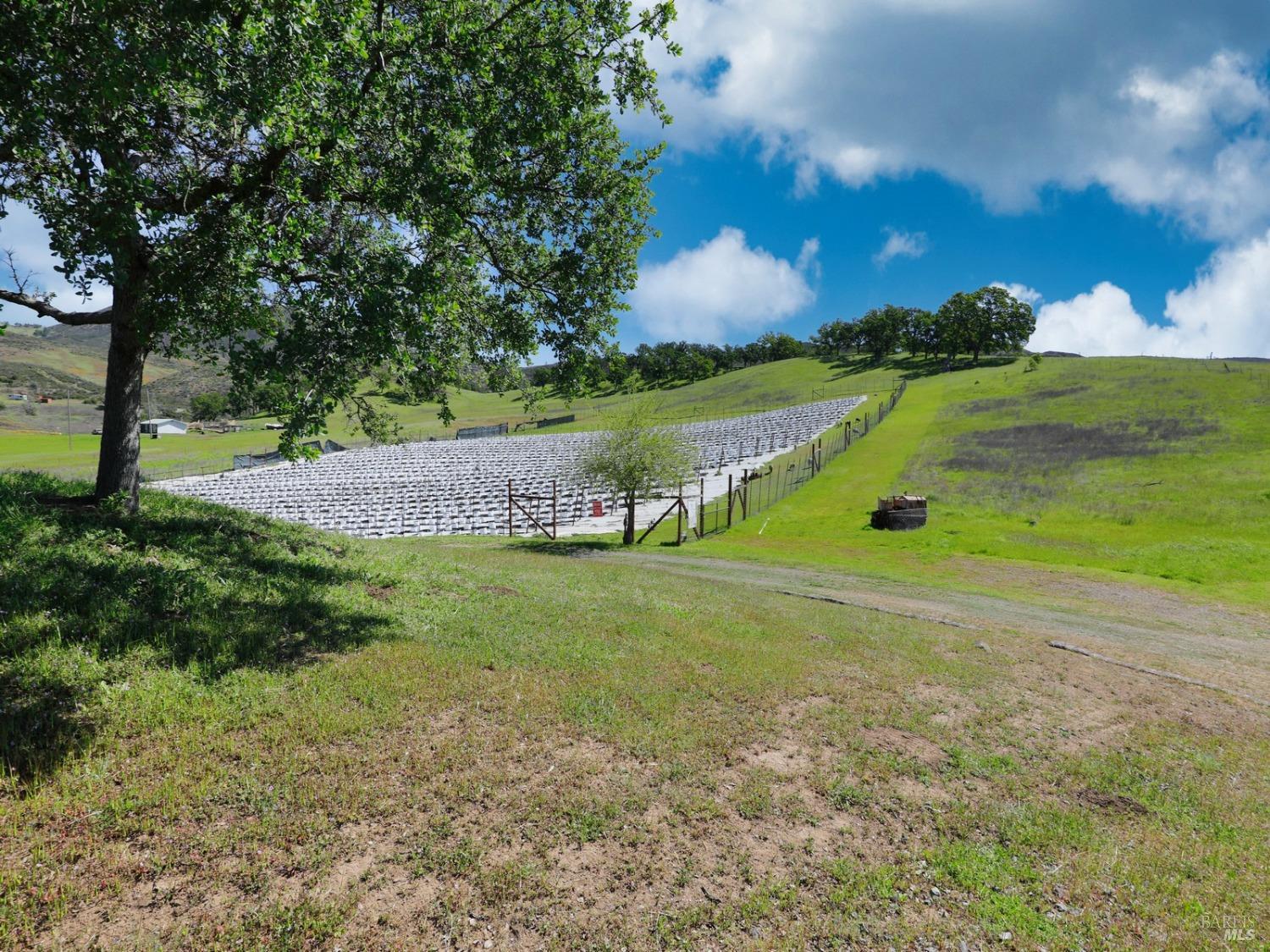 22644 Jerusalem Grade