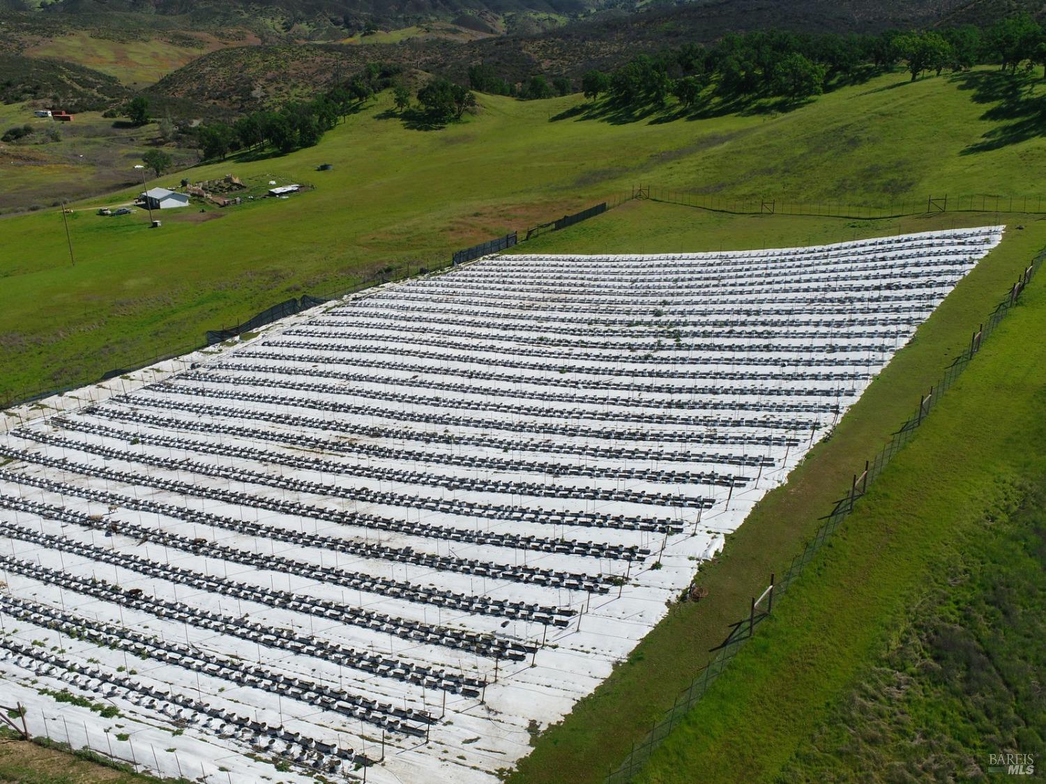 22644 Jerusalem Grade