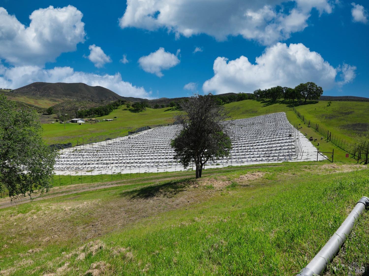 22644 Jerusalem Grade