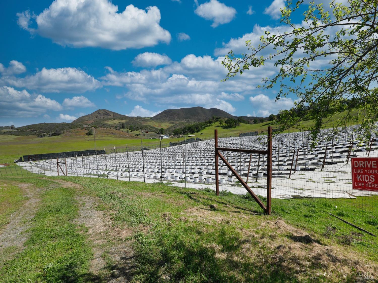 22644 Jerusalem Grade