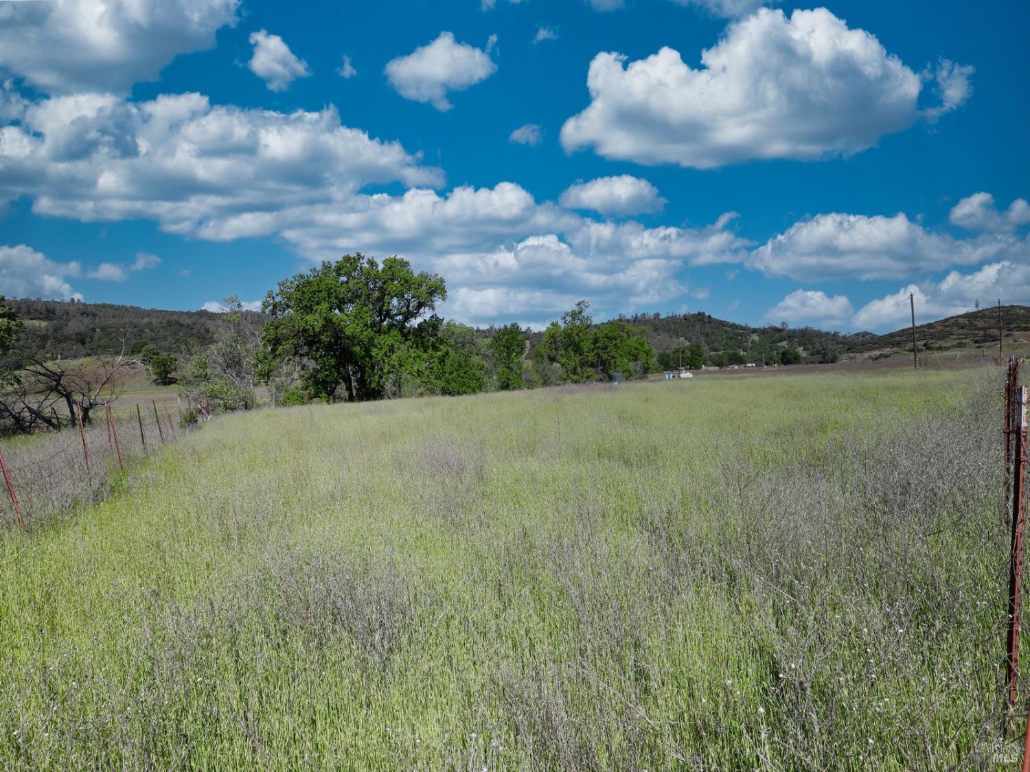 22644 Jerusalem Grade