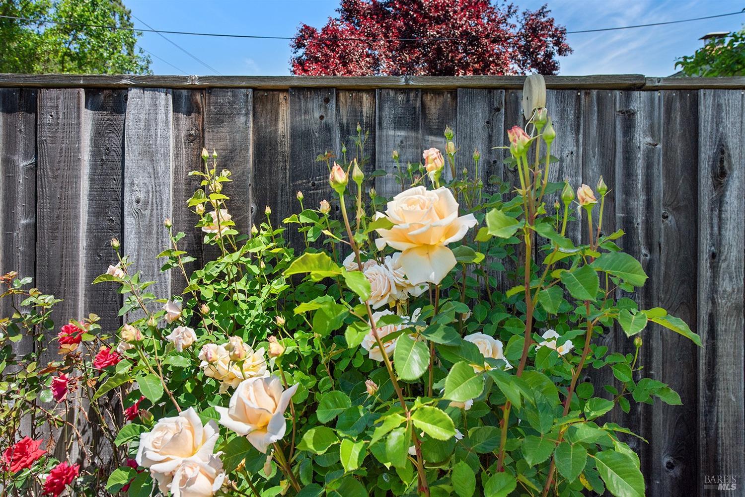 1547 Saint Francis Rd