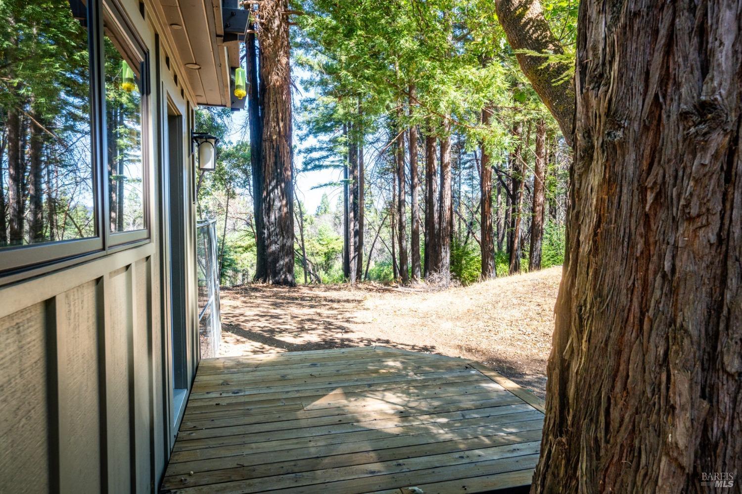 8676 Palmer Creek Rd