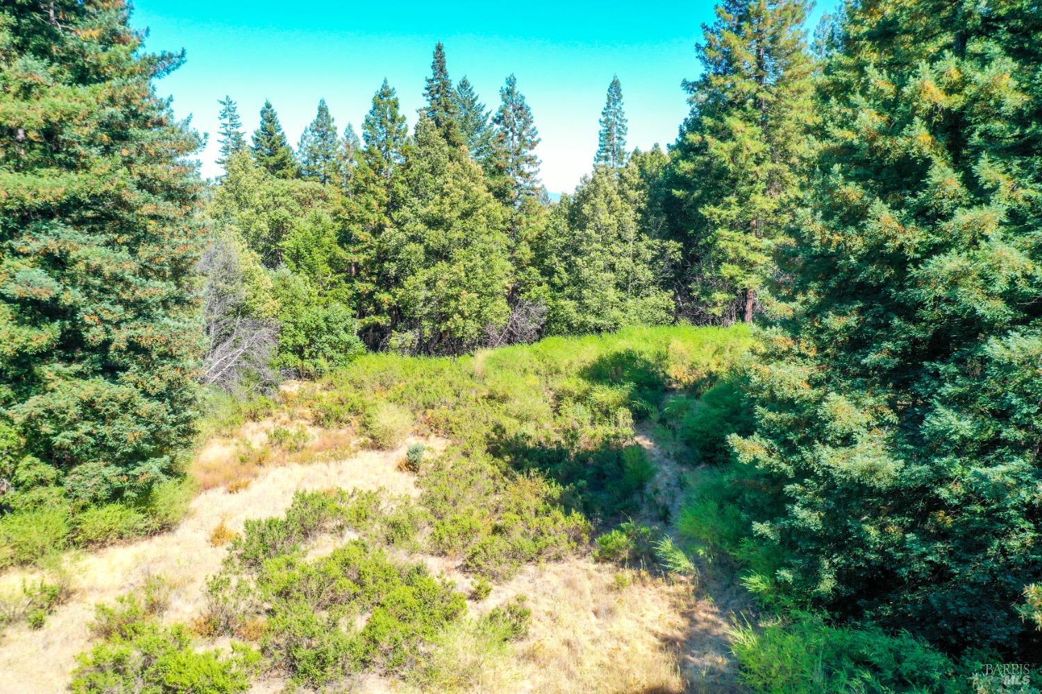 8676 Palmer Creek Rd