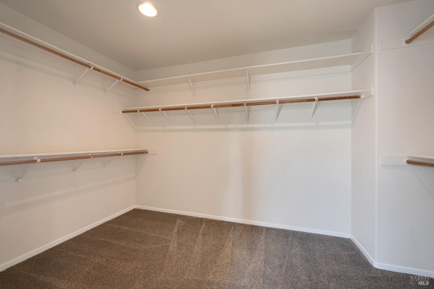 2867 Bighorn Sheep St