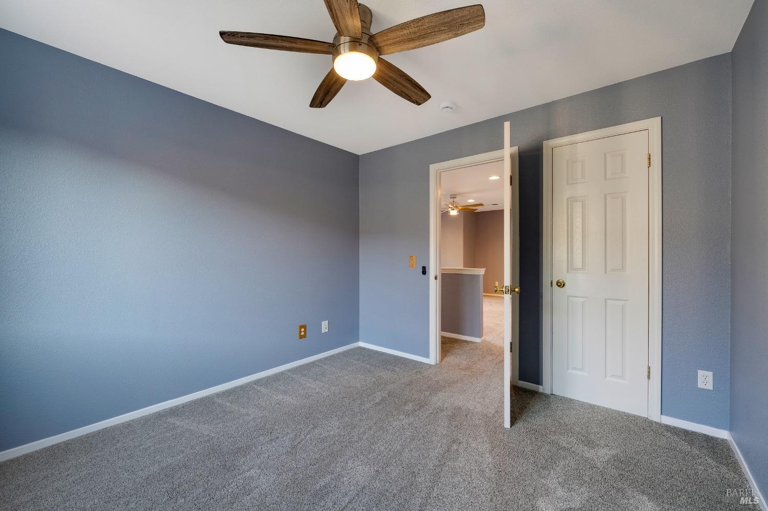 2867 Bighorn Sheep St