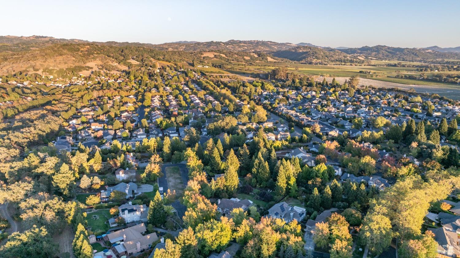 346 Spring Beauty Ct