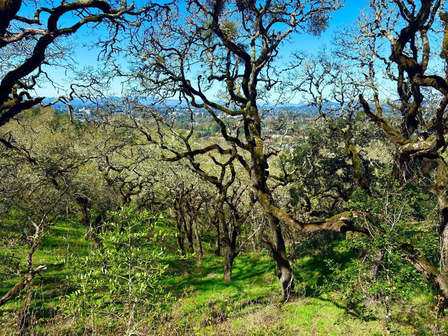 3494 Holland Dr