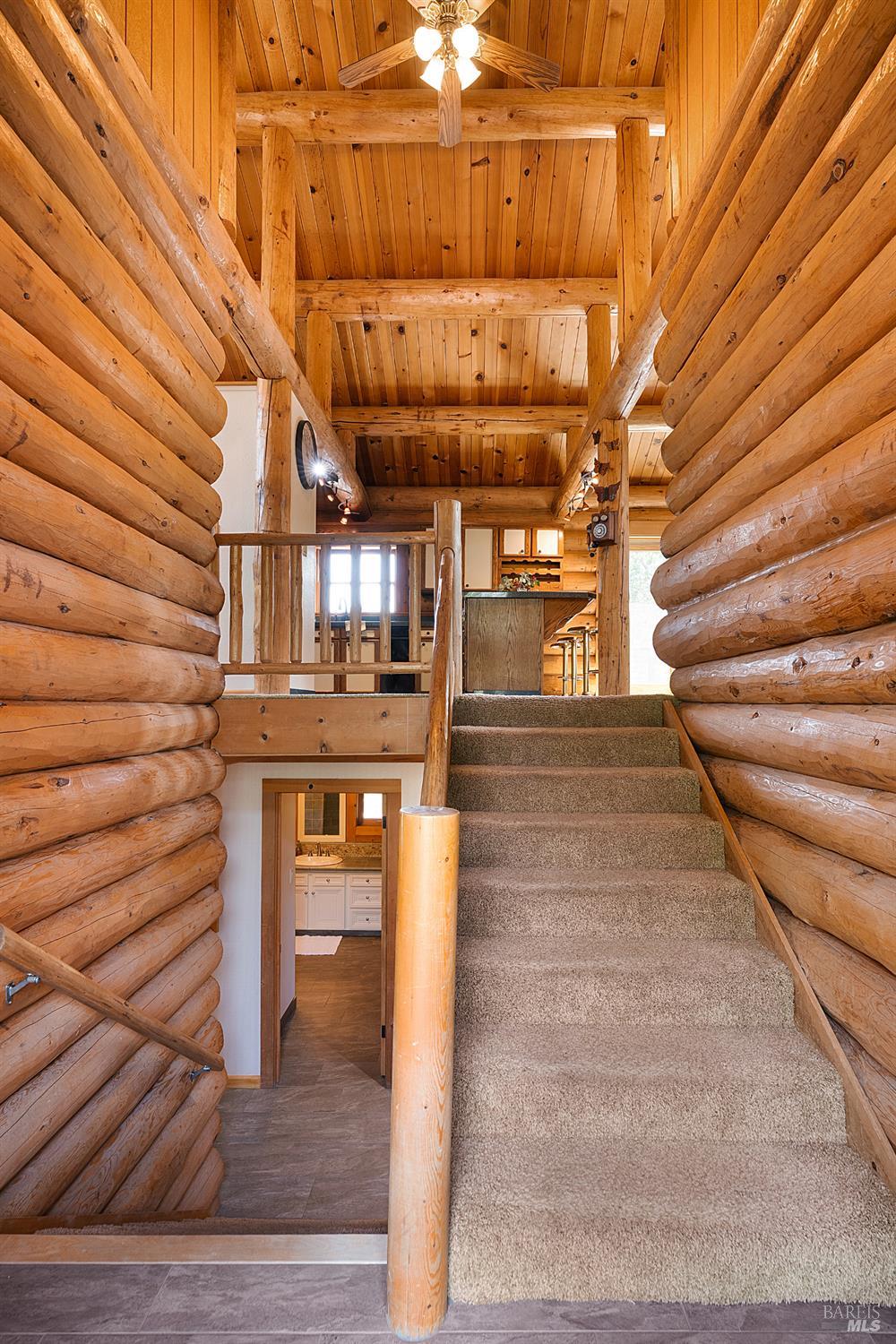 700 Petrified Forest Rd