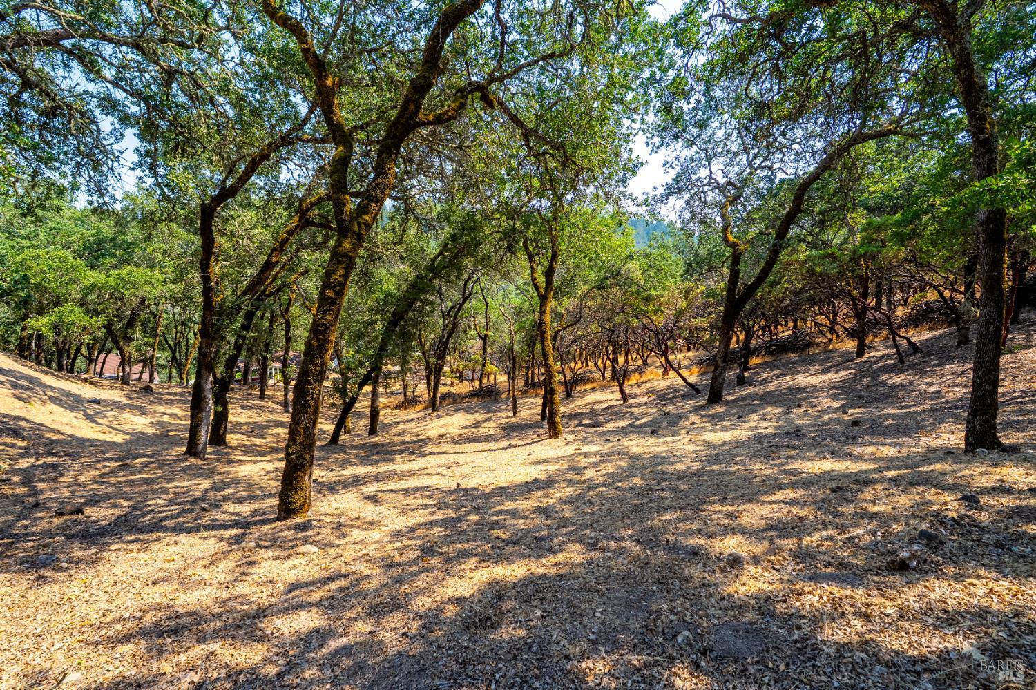 700 Petrified Forest Rd