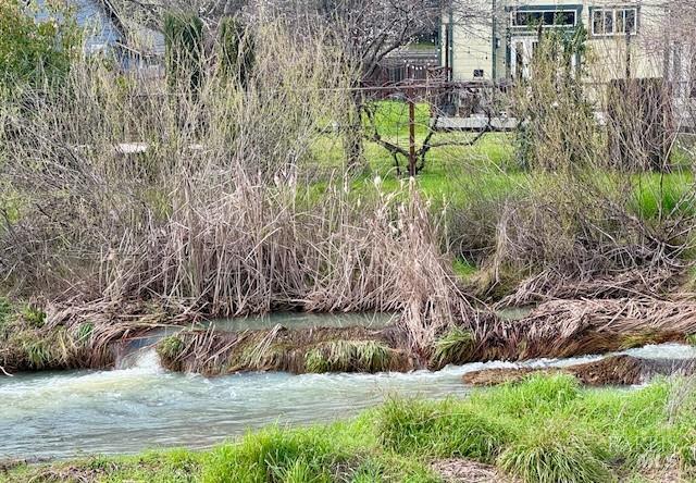 2465 Appolinaris Drive