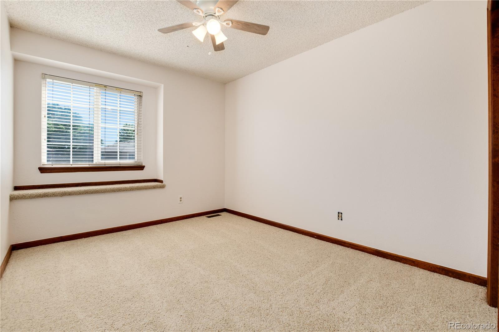 Empty carpeted room with a window, dark wood trim, and a ceiling fan.