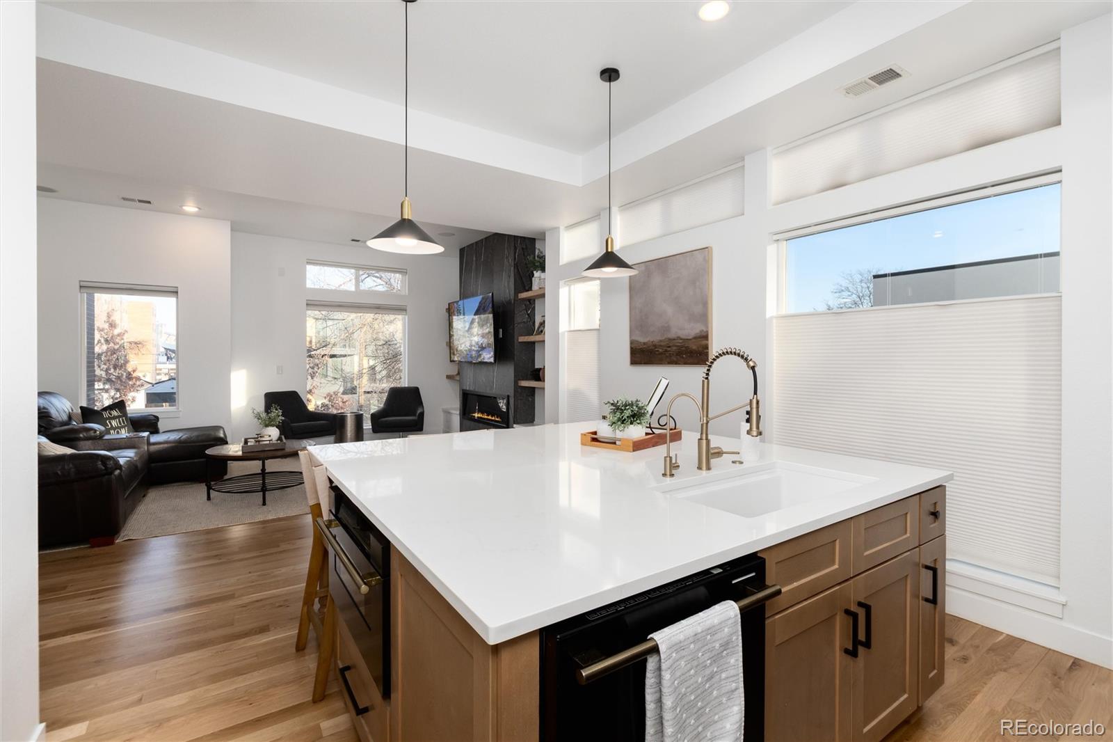 1733 Grove Street Unit: 4